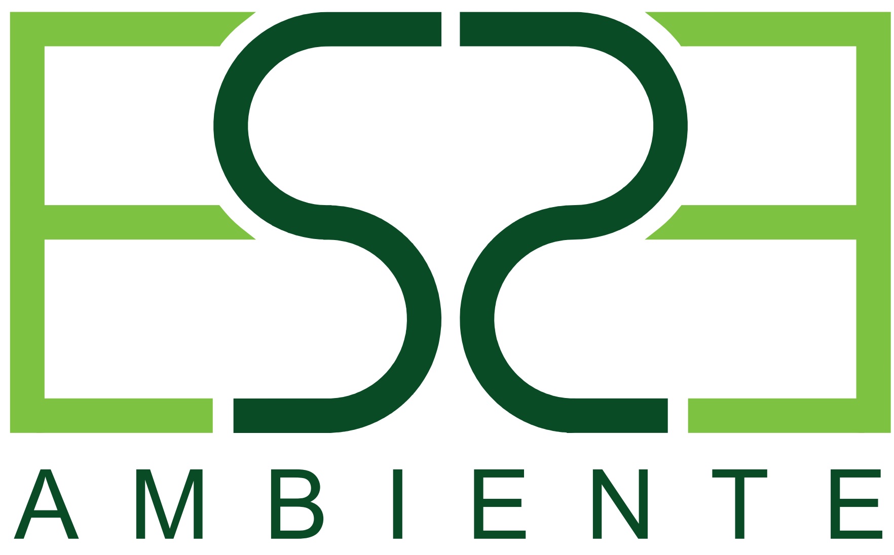 ESSEAMBIENTE SRL